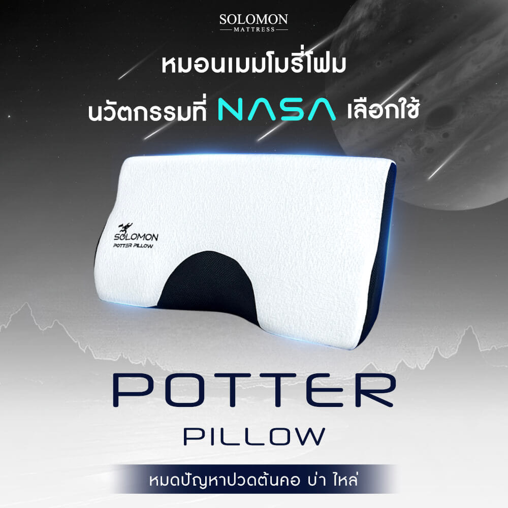 หมอนเมมโมรี่โฟม SOLOMON รุ่น POTTER PILLOW_8